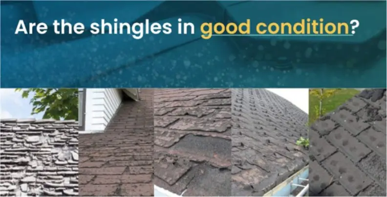 shingles-condition